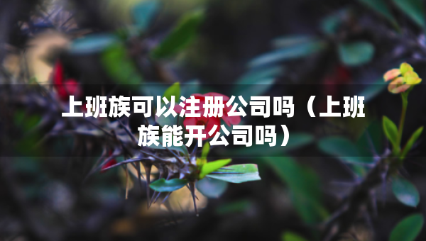 上班族可以注册公司吗(上班族能开公司吗) 上班族可以注册公司吗(上班族能开公司吗)