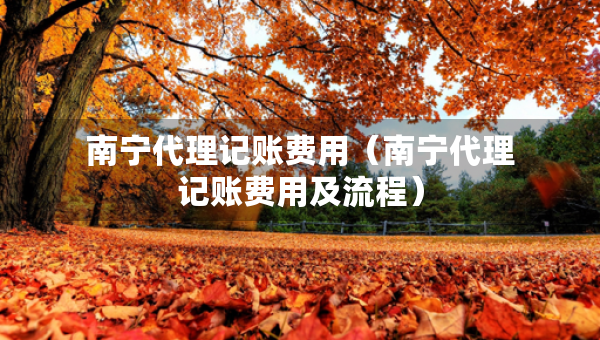 南宁代理记账费用（南宁代理记账费用及流程）