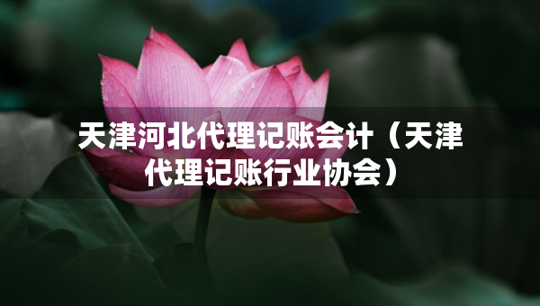 天津河北代理记账会计（天津代理记账行业协会）