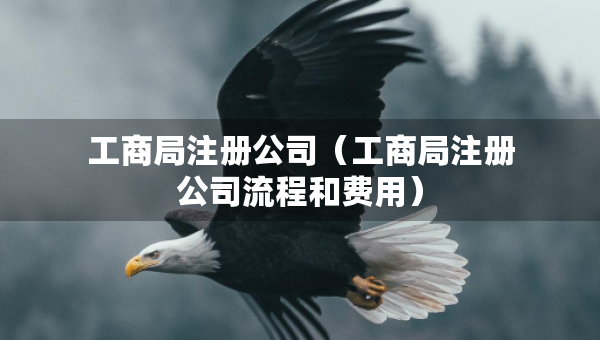 工商局注册公司（工商局注册公司流程和费用）