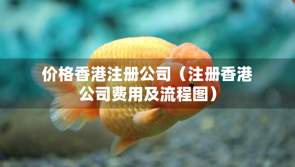 价格香港注册公司（注册香港公司费用及流程图）