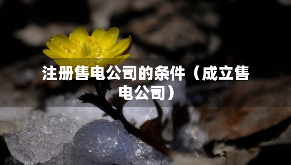 注册售电公司的条件（成立售电公司）