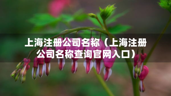 上海注册公司名称（上海注册公司名称查询官网入口）
