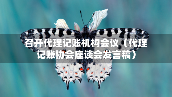召开代理记账机构会议(代理记账协会座谈会发言稿) 召开代理记账机构会议(代理记账协会座谈会发言稿)