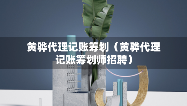 黄骅代理记账筹划（黄骅代理记账筹划师招聘）