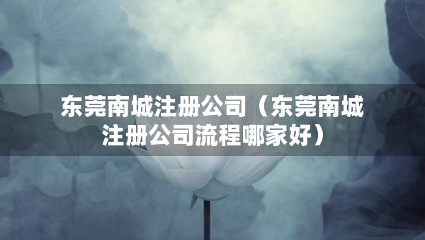 东莞南城注册公司（东莞南城注册公司流程哪家好）