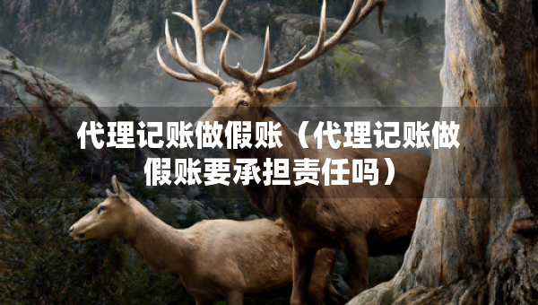 代理记账做假账（代理记账做假账要承担责任吗）