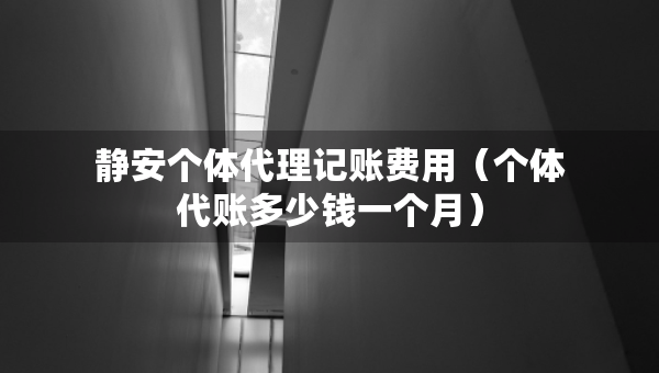 静安个体代理记账费用（个体代账多少钱一个月）