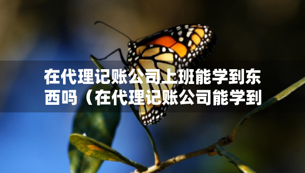 在代理记账公司上班能学到东西吗（在代理记账公司能学到什么）