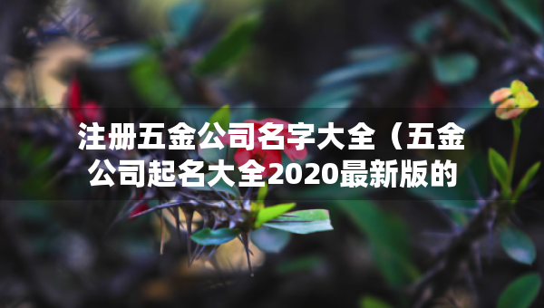 注册五金公司名字大全（五金公司起名大全2020最新版的）