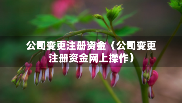 公司变更注册资金（公司变更注册资金网上操作）