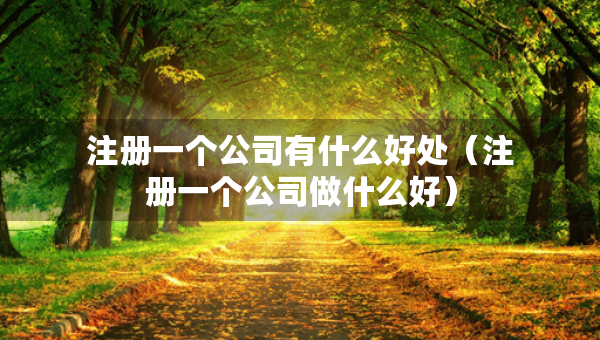 注册一个公司有什么好处（注册一个公司做什么好）