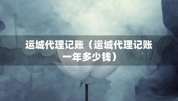运城代理记账（运城代理记账一年多少钱）