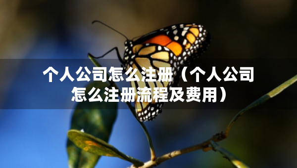 个人公司怎么注册（个人公司怎么注册流程及费用）