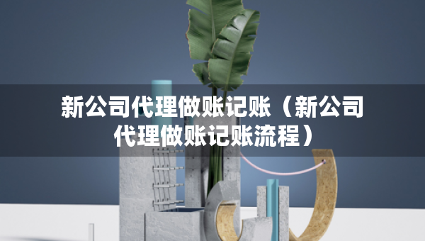 新公司代理做账记账（新公司代理做账记账流程）