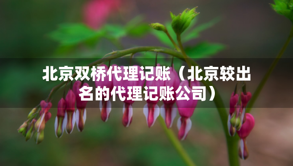 北京双桥代理记账（北京较出名的代理记账公司）