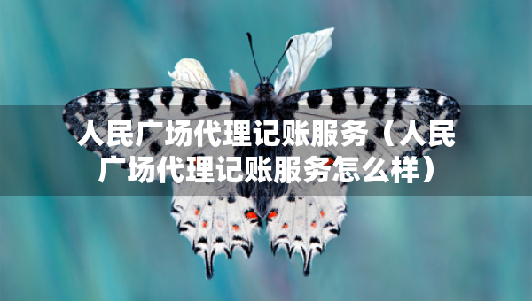 人民广场代理记账服务（人民广场代理记账服务怎么样）