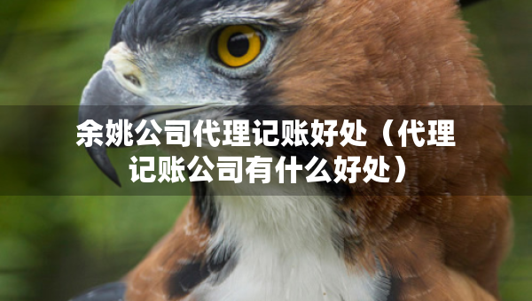 余姚公司代理记账好处（代理记账公司有什么好处）