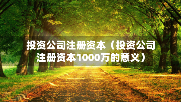 投资公司注册资本（投资公司注册资本1000万的意义）