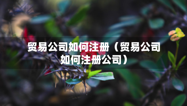 贸易公司如何注册（贸易公司如何注册公司）
