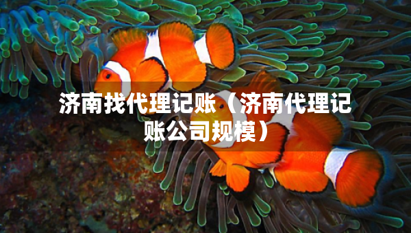 济南找代理记账（济南代理记账公司规模）