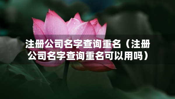 注册公司名字查询重名（注册公司名字查询重名可以用吗）