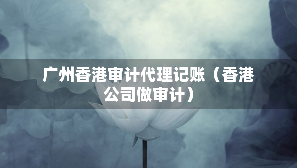 广州香港审计代理记账（香港公司做审计）