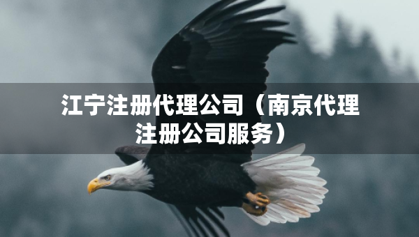 江宁注册代理公司（南京代理注册公司服务）