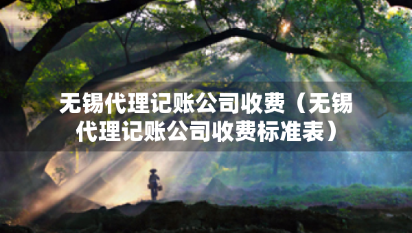 无锡代理记账公司收费（无锡代理记账公司收费标准表）