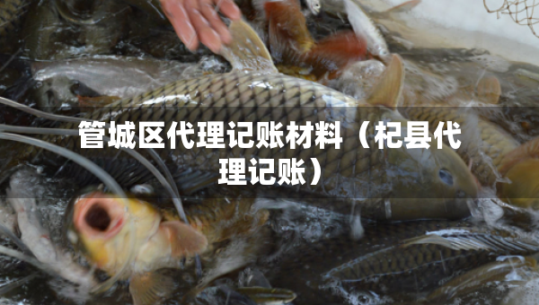 管城区代理记账材料（杞县代理记账）