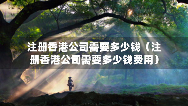 注册香港公司需要多少钱（注册香港公司需要多少钱费用）