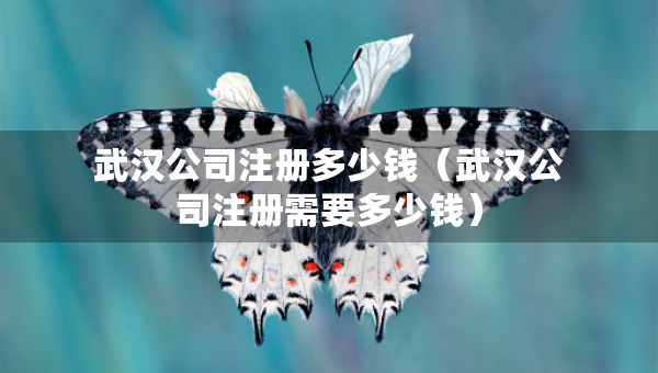 武汉公司注册多少钱（武汉公司注册需要多少钱）