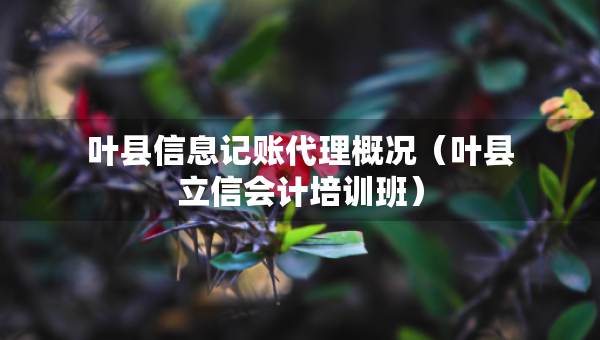 叶县信息记账代理概况（叶县立信会计培训班）