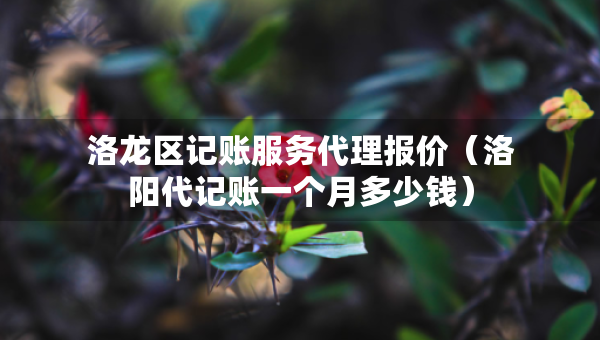 洛龙区记账服务代理报价（洛阳代记账一个月多少钱）