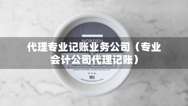 代理专业记账业务公司（专业会计公司代理记账）
