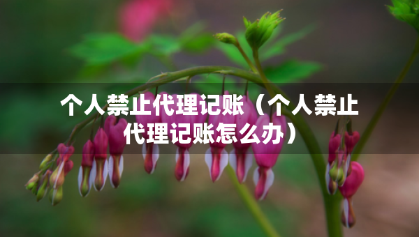 个人禁止代理记账（个人禁止代理记账怎么办）