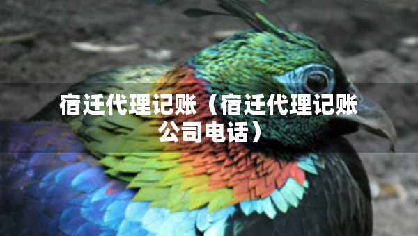 宿迁代理记账（宿迁代理记账公司电话）