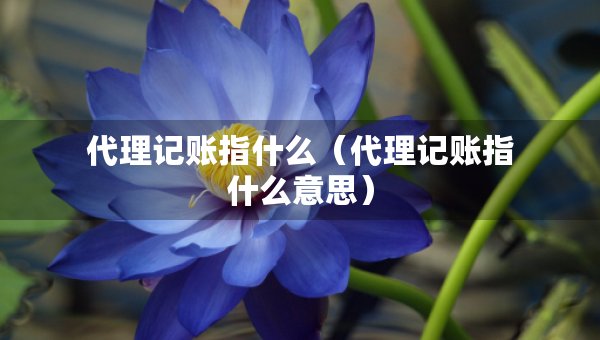 代理记账指什么（代理记账指什么意思）