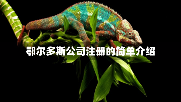 鄂尔多斯公司注册的简单介绍