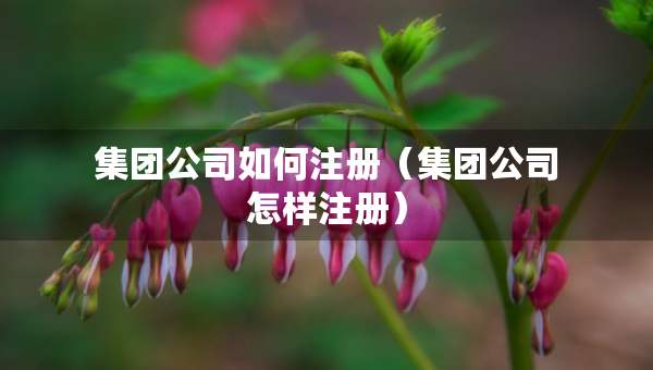 集团公司如何注册（集团公司怎样注册）