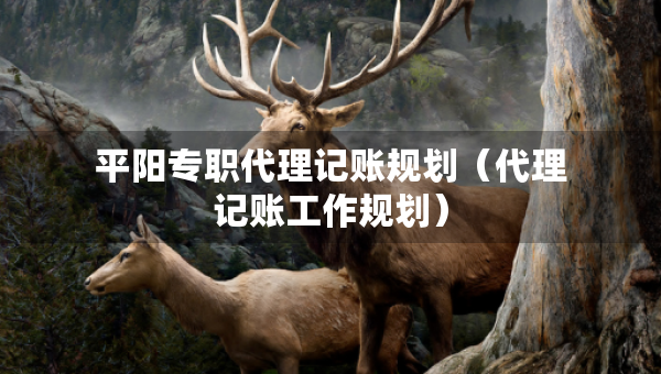 平阳专职代理记账规划（代理记账工作规划）