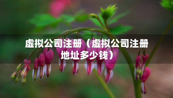 虚拟公司注册（虚拟公司注册地址多少钱）