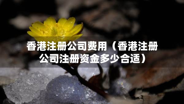 香港注册公司费用（香港注册公司注册资金多少合适）