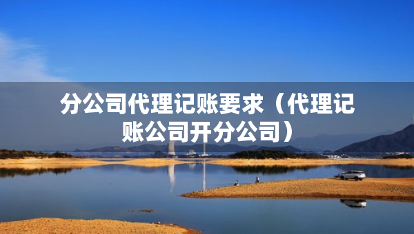 分公司代理记账要求（代理记账公司开分公司）