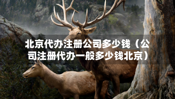 北京代办注册公司多少钱（公司注册代办一般多少钱北京）