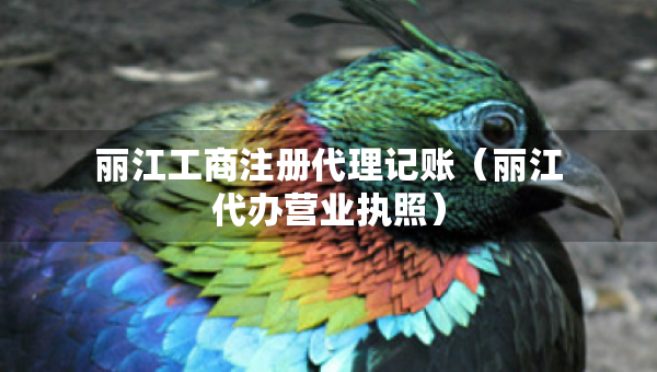 丽江工商注册代理记账（丽江代办营业执照）