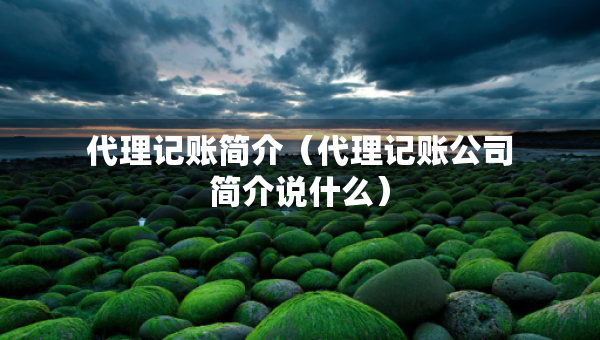 代理记账简介（代理记账公司简介说什么）