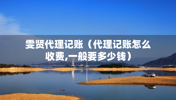 雯贤代理记账（代理记账怎么收费,一般要多少钱）
