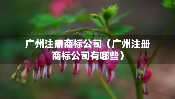 广州注册商标公司（广州注册商标公司有哪些）