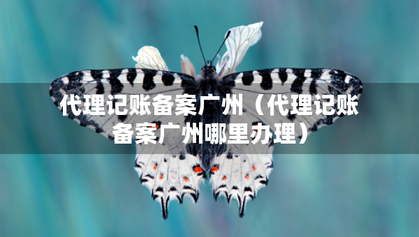 代理记账备案广州（代理记账备案广州哪里办理）